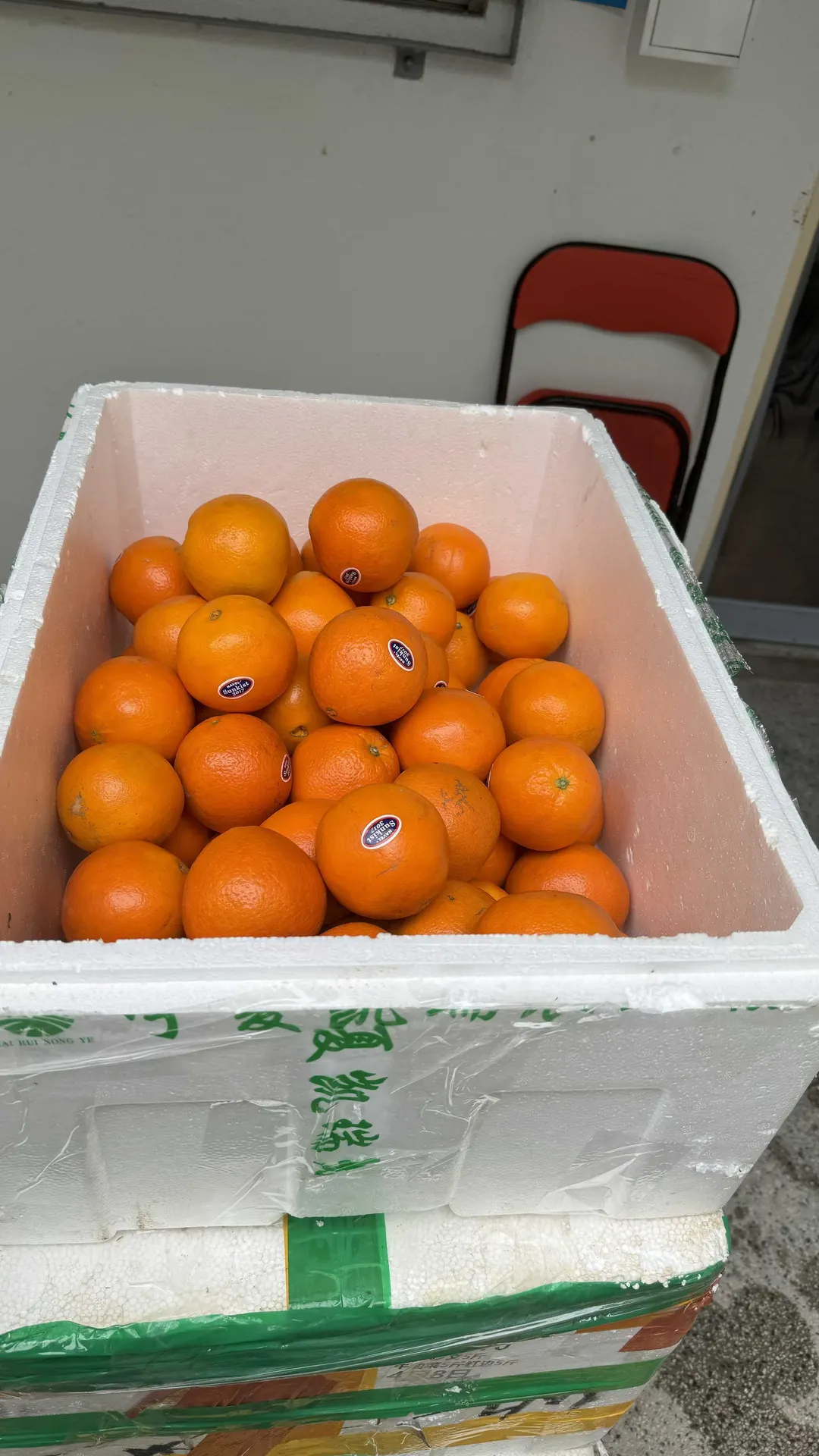 明鑄慈善基金與名人黎諾懿、陳藹怡議員等人攜手垂范,親力親為,為基層市民提供溫暖。